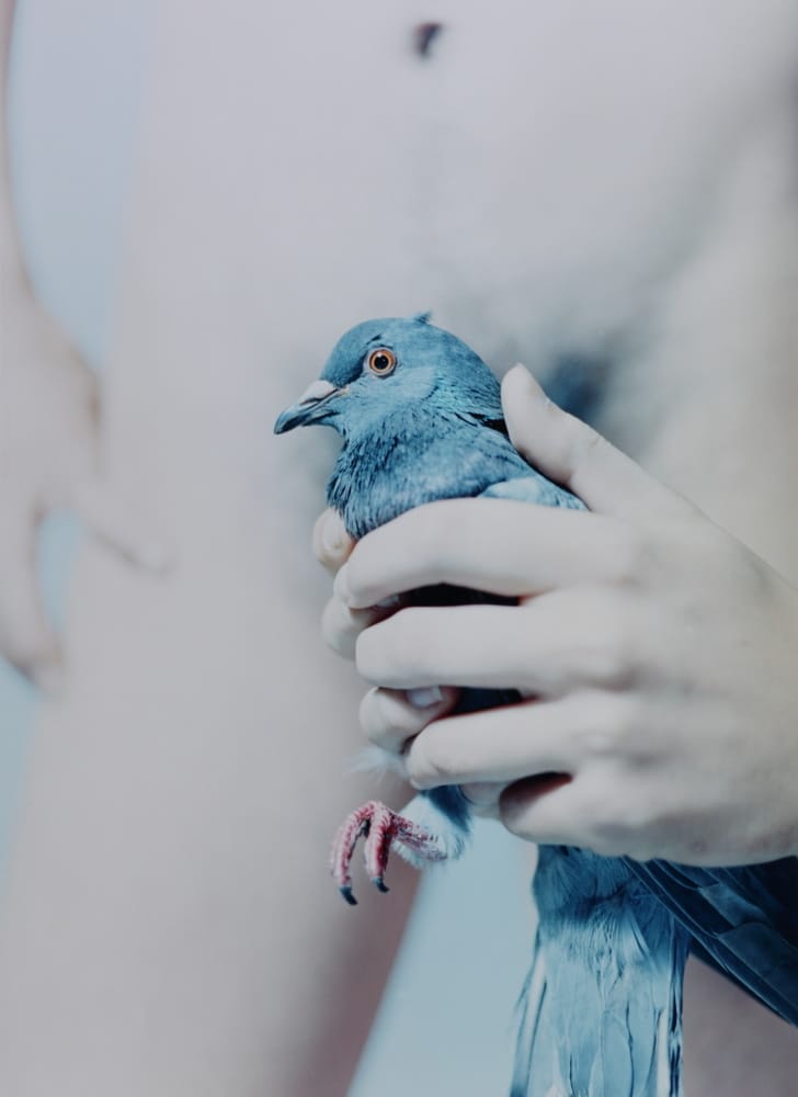 Jongen houdt vogeltje voor zijn kruis.
